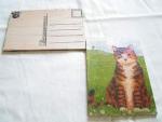 Les cartes postale en bois